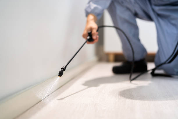 Licensed Pest Control service in Krugerville, TX - Show Me Pest Control