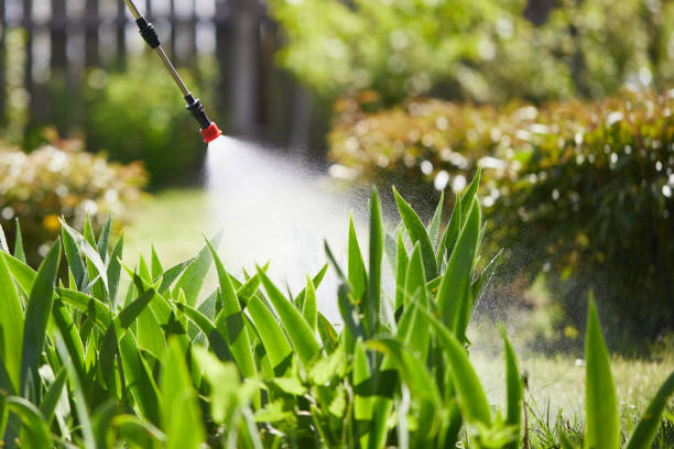 Tamper-Resistant Bait Stations for Rodents in Krugerville