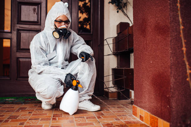 Attic and Crawl Space Rodent Treatment in Krugerville